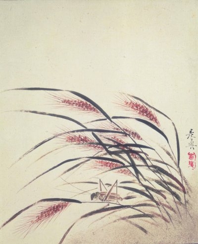 Ears of Rice and Cricket by Shibata Zeshin